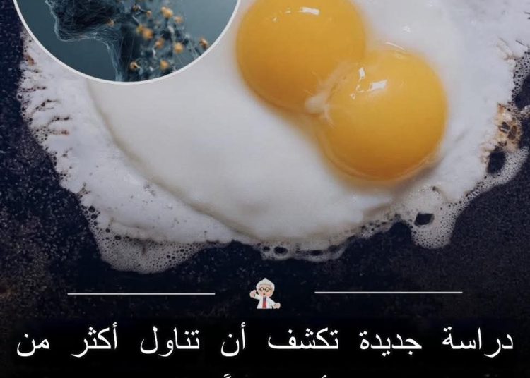 صيدلية حرمون: بيضة واحدة قد تحمي دماغك!