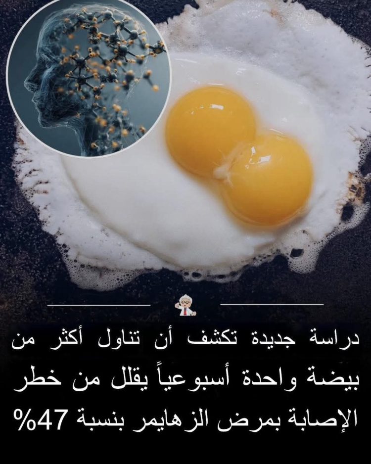 صيدلية حرمون: بيضة واحدة قد تحمي دماغك!