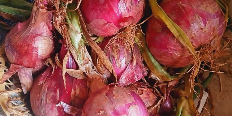 صيدلية حرمون: فوائد البصل وقيمته الغذائية