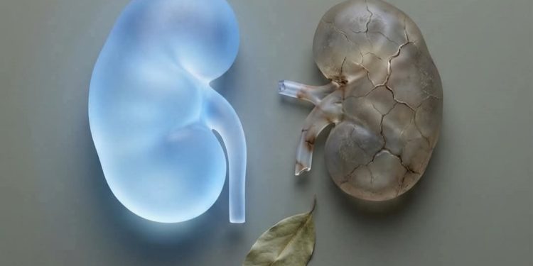 علامات إذا ظهرت على جلدك قد تشير لبداية الفشل الكلوي