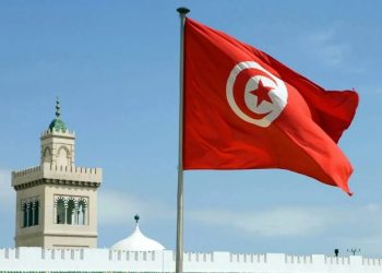 الزراعة والخدمات تدعم الاقتصاد التونسي في 2025