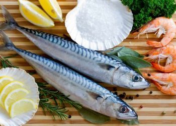 سمك التونا ومحاذير تناوله ليكون صحياً