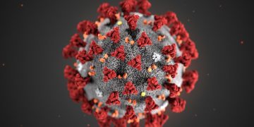 #كورونا 25-26 وفيروس #نيباه (ج. 2)