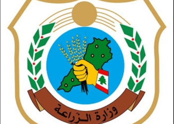 جولة رقابية لوزارة الزراعة وفرق الاقتصاد على أسواق الخضر التاسعة صباحا