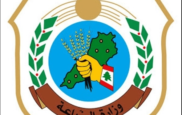 جولة رقابية لوزارة الزراعة وفرق الاقتصاد على أسواق الخضر التاسعة صباحا