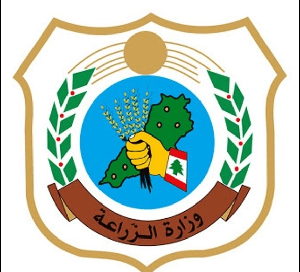 جولة رقابية لوزارة الزراعة وفرق الاقتصاد على أسواق الخضر التاسعة صباحا