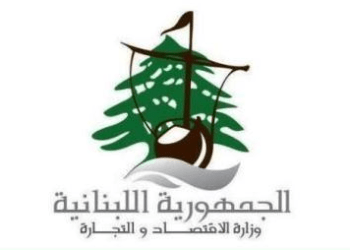 وزارة الاقتصاد: ضبط مخالفات في الغاز والخضار والسلع الغذائية